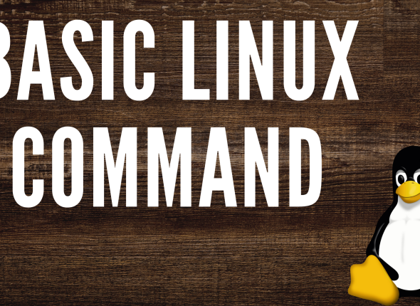 BASIC LINUX COMMAND