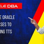 migrate Oracle databases